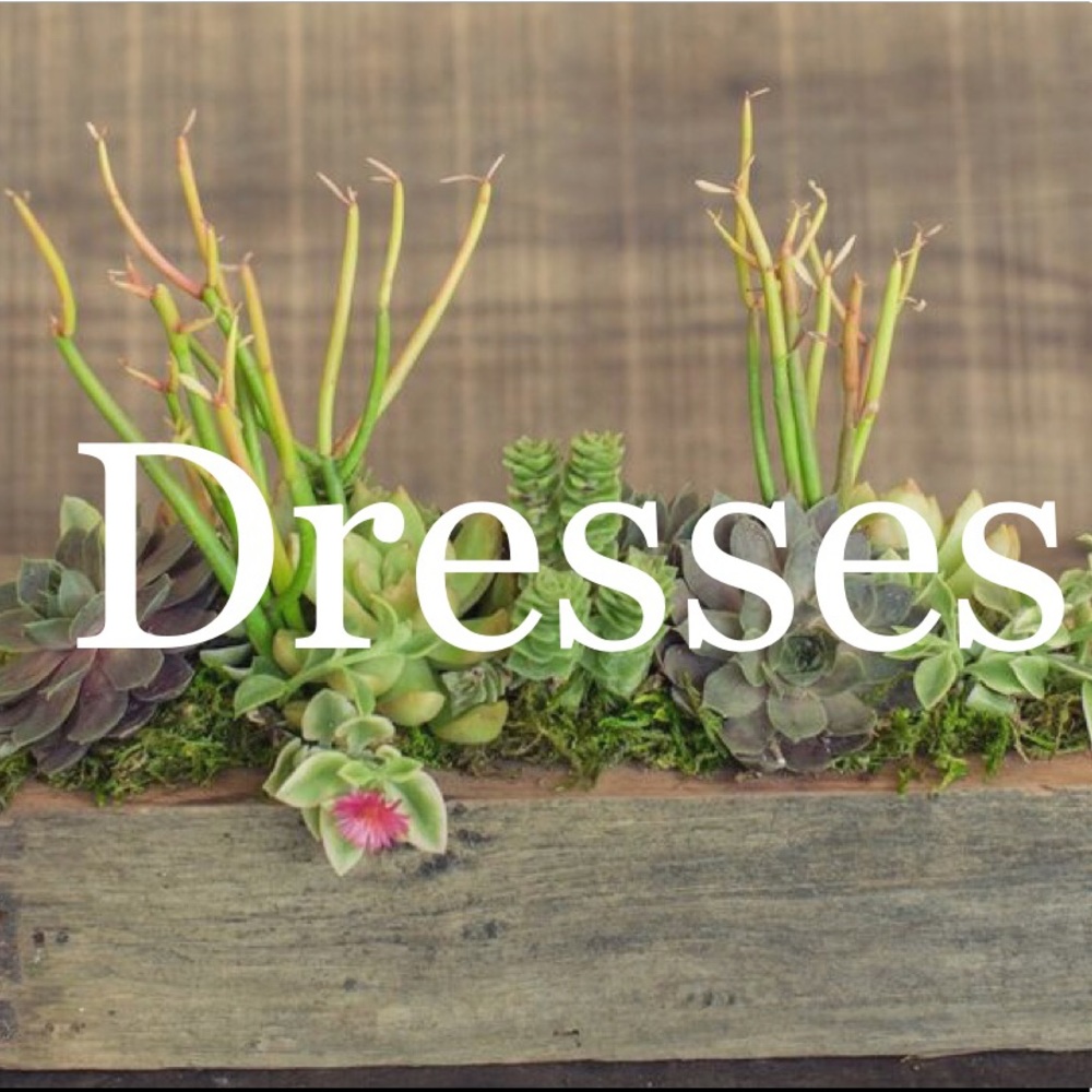 👗👗👗👗👗👗👗👗👗👗👗👗👗👗